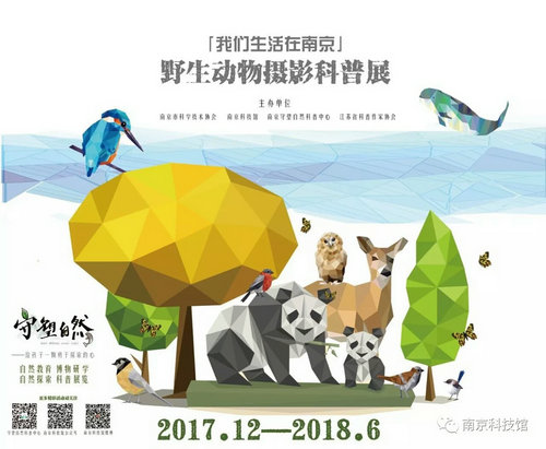 野生动物摄影科普展“我们生活在南京”