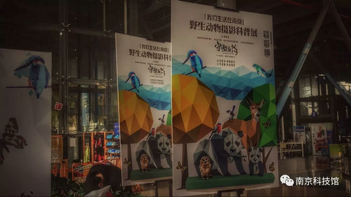 野生动物摄影科普展“我们生活在南京”